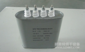 NMT-P0017 UV進口光源電容